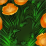 Orange Blossoms (Shamrue Stage 1)