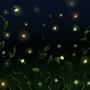 A Million Fireflies