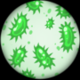 Bacteria Under The Microscope