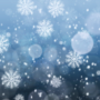 Blue Snowflakes