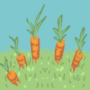 Carrots Abundance