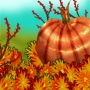 pumpkin_flower_patch.jpg