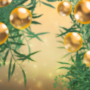 Shimmering Ornaments