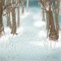 snowy_whispering_woods.jpg