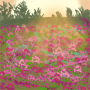 Sunkissed Flower Field